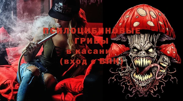 прущая мука Абаза