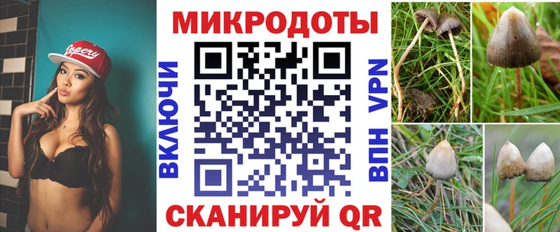как найти наркотики  Каргополь  Псилоцибиновые грибы мухоморы 