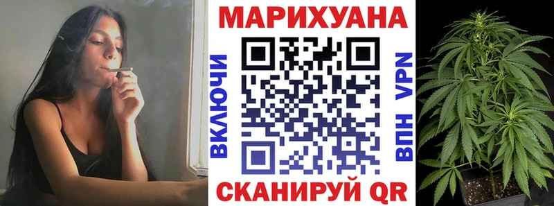 Шишки марихуана марихуана  дарнет шоп  Каргополь 